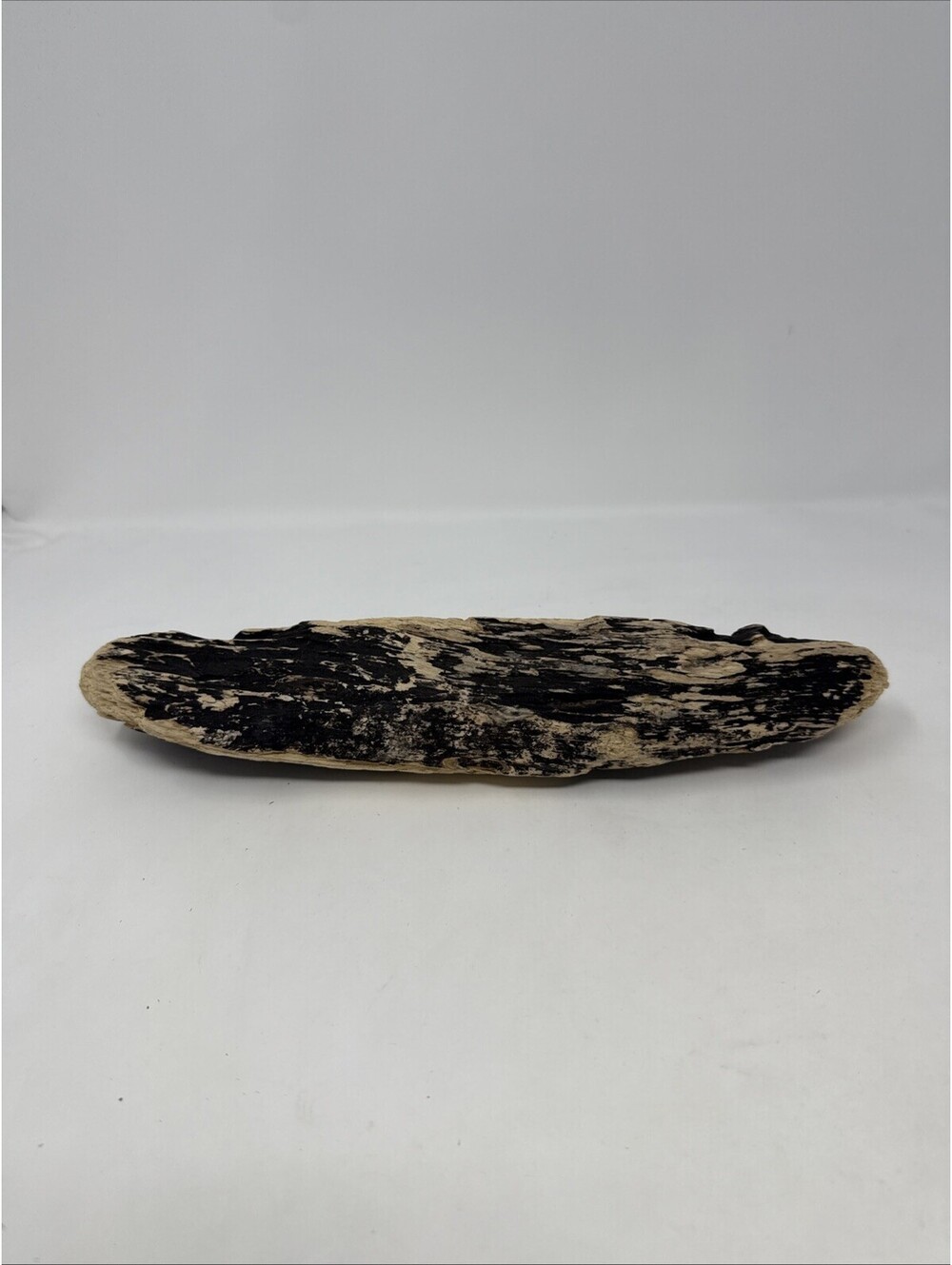 12 Inch driftwood freshwater terrarium aquarium crafts